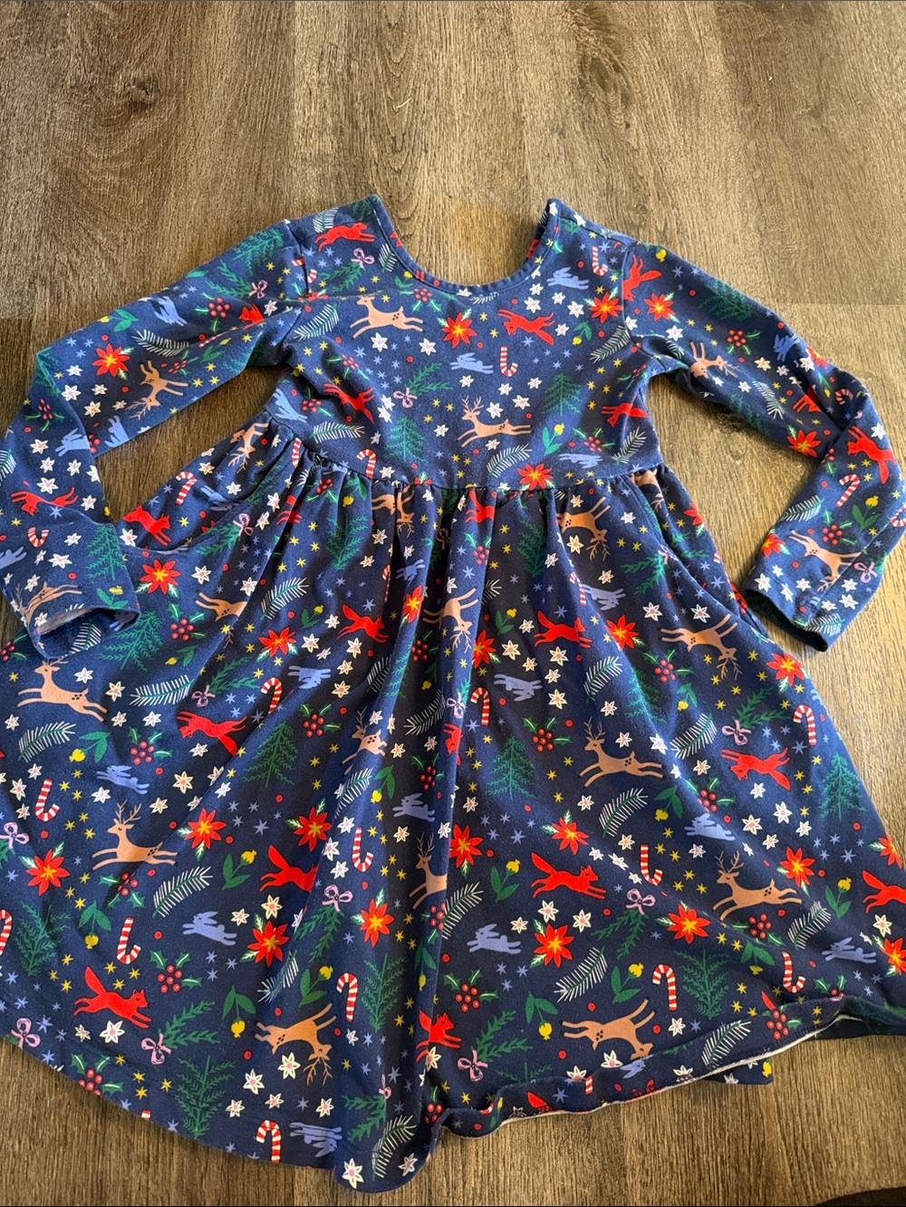 Hanna Andersson Girls Size 5 Holiday Skater Dress Blue Reindeer Christmas